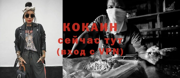 прущие грибы Кукмор