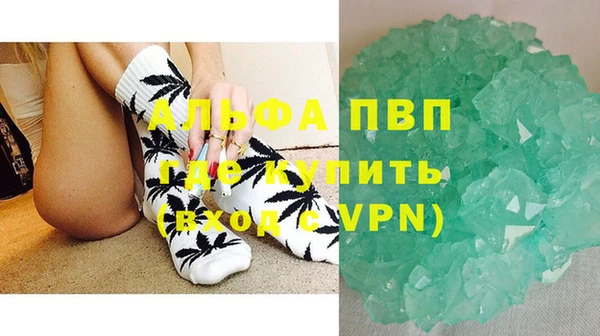 прущие грибы Кукмор