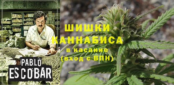 прущие грибы Кукмор