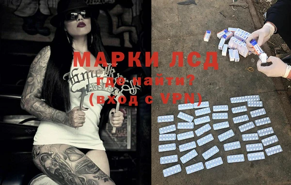 прущие грибы Кукмор